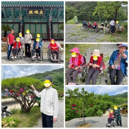 사회적응훈련-사찰나들이