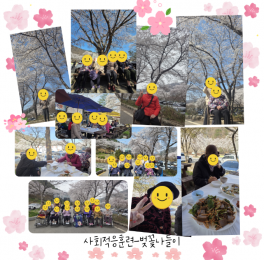 사회적응훈련-벚꽃나들이